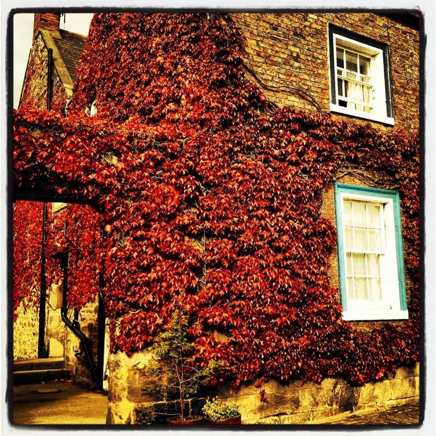 Blue Bell Hotel Belford Eksteriør billede